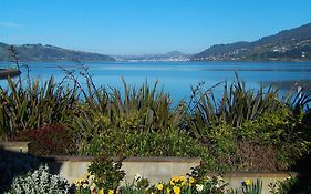 Arts Content Harbour View