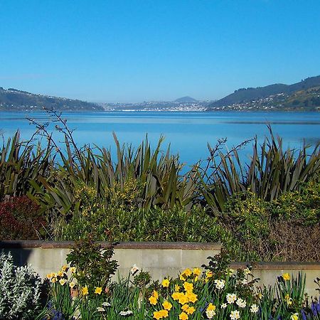 Arts Content Harbour View Apartment Macandrew Bay Exterior photo