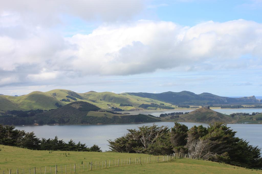 Arts Content Harbour View Apartment Macandrew Bay Exterior photo