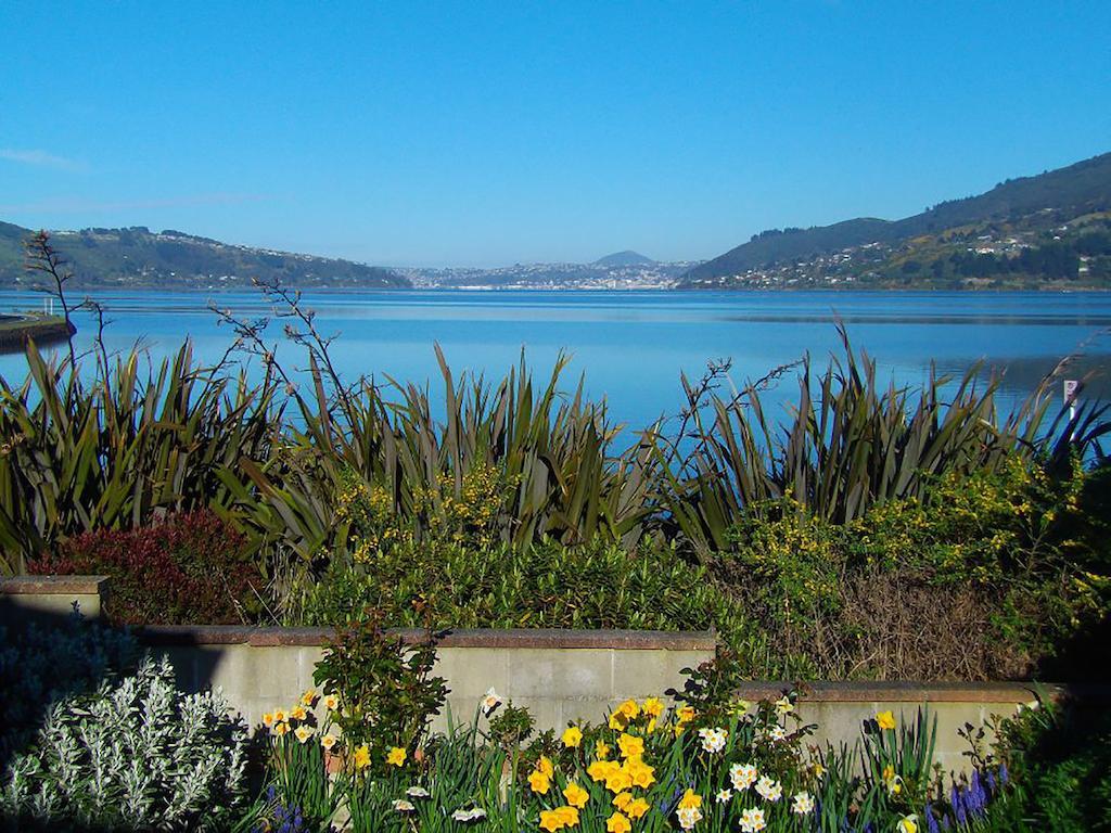 Arts Content Harbour View Apartment Macandrew Bay Exterior photo