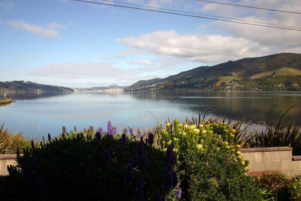 Arts Content Harbour View Apartment Macandrew Bay Exterior photo